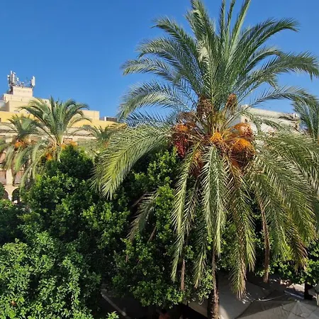 Arenal Jerez de la Frontera